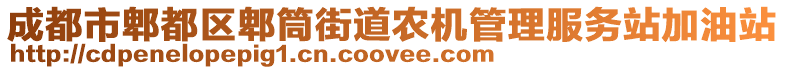 成都市郫都區(qū)郫筒街道農(nóng)機(jī)管理服務(wù)站加油站