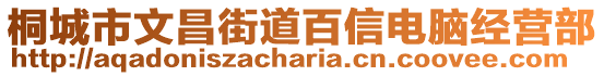 桐城市文昌街道百信電腦經(jīng)營(yíng)部