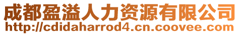 成都盈溢人力資源有限公司