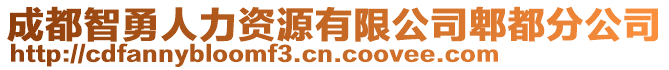 成都智勇人力資源有限公司郫都分公司