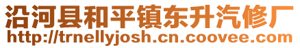 沿河縣和平鎮(zhèn)東升汽修廠