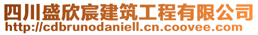 四川盛欣宸建筑工程有限公司