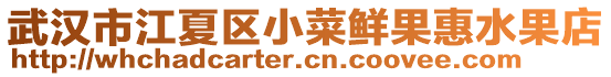 武漢市江夏區(qū)小菜鮮果惠水果店