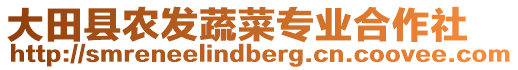 大田縣農(nóng)發(fā)蔬菜專業(yè)合作社