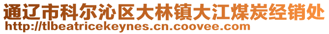 通遼市科爾沁區(qū)大林鎮(zhèn)大江煤炭經(jīng)銷處