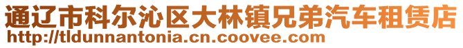 通遼市科爾沁區(qū)大林鎮(zhèn)兄弟汽車租賃店