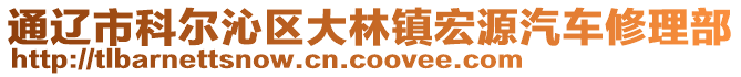 通遼市科爾沁區(qū)大林鎮(zhèn)宏源汽車修理部