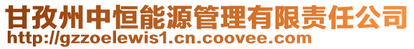 甘孜州中恒能源管理有限責任公司