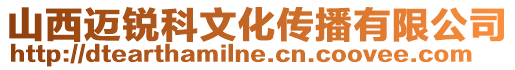 山西邁銳科文化傳播有限公司