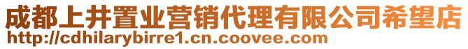 成都上井置業(yè)營(yíng)銷代理有限公司希望店