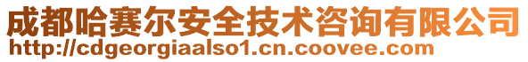 成都哈賽爾安全技術(shù)咨詢有限公司