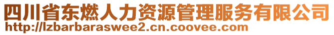 四川省東燃人力資源管理服務(wù)有限公司