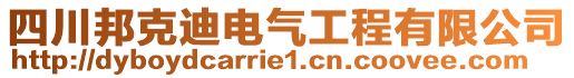 四川邦克迪電氣工程有限公司