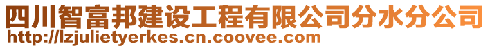 四川智富邦建設工程有限公司分水分公司