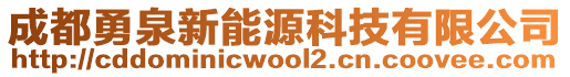 成都勇泉新能源科技有限公司