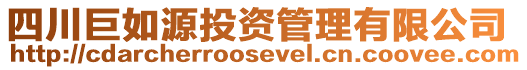 四川巨如源投資管理有限公司