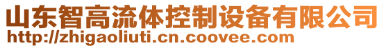 山東智高流體控制設備有限公司