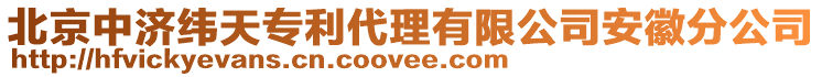 北京中濟緯天專利代理有限公司安徽分公司