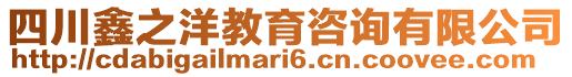 四川鑫之洋教育咨詢有限公司