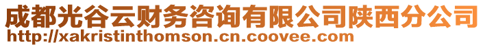 成都光谷云財務咨詢有限公司陜西分公司