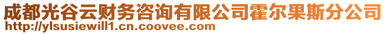 成都光谷云財務咨詢有限公司霍爾果斯分公司