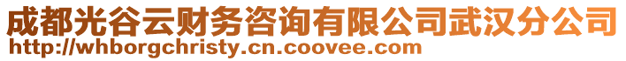 成都光谷云財(cái)務(wù)咨詢有限公司武漢分公司