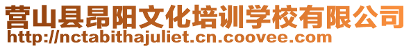 營山縣昂陽文化培訓學校有限公司