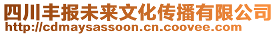 四川豐報未來文化傳播有限公司