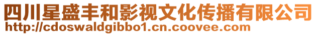 四川星盛豐和影視文化傳播有限公司