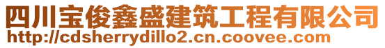 四川寶俊鑫盛建筑工程有限公司