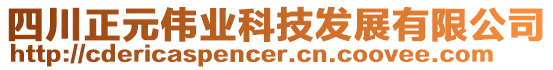 四川正元偉業(yè)科技發(fā)展有限公司