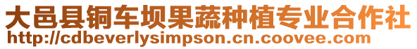 大邑縣銅車壩果蔬種植專業(yè)合作社