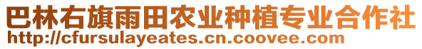 巴林右旗雨田農(nóng)業(yè)種植專業(yè)合作社