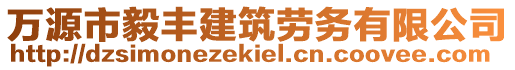 萬源市毅豐建筑勞務(wù)有限公司