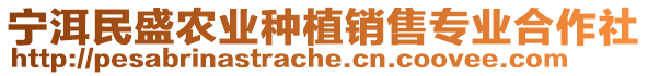 寧洱民盛農(nóng)業(yè)種植銷售專業(yè)合作社