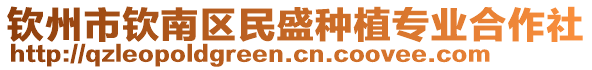 钦州市钦南区民盛种植专业合作社