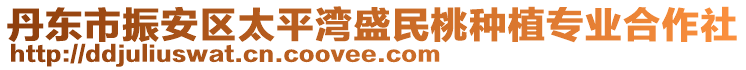 丹東市振安區(qū)太平灣盛民桃種植專業(yè)合作社