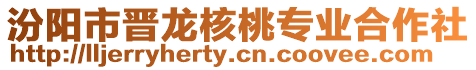 汾陽市晉龍核桃專業(yè)合作社