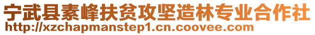 寧武縣素峰扶貧攻堅造林專業(yè)合作社