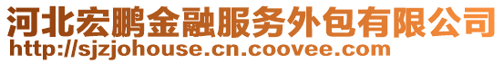 河北宏鵬金融服務(wù)外包有限公司