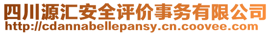 四川源匯安全評(píng)價(jià)事務(wù)有限公司