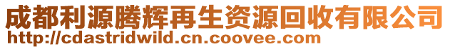 成都利源騰輝再生資源回收有限公司