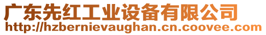 廣東先紅工業(yè)設備有限公司