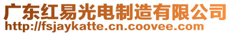 廣東紅易光電制造有限公司