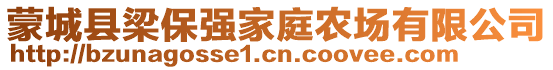 蒙城縣梁保強家庭農場有限公司