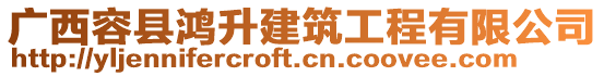 廣西容縣鴻升建筑工程有限公司