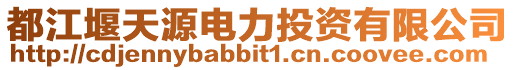 都江堰天源電力投資有限公司