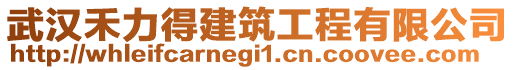 武漢禾力得建筑工程有限公司