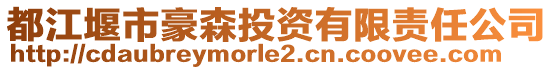 都江堰市豪森投資有限責(zé)任公司