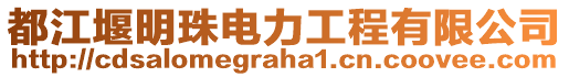 都江堰明珠電力工程有限公司